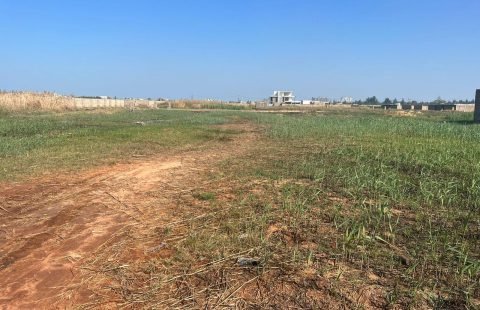 Vende-se 4 terrenos em Mapulene, na zona do Maposse