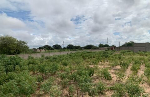 VENDE-SE: Terreno em Mulotana