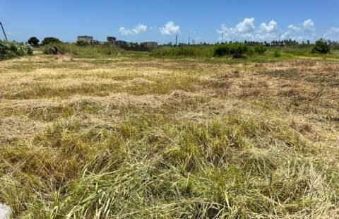 VENDE-SE: Terreno 50×50 no Bairro da Costa do Sol – Dona Alice